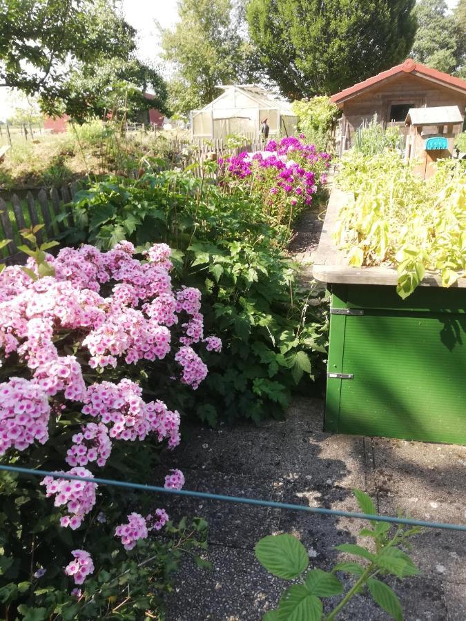 Einzigartige Naturoase Im Sueden Von Ingolstadt Brautlach Exterior foto